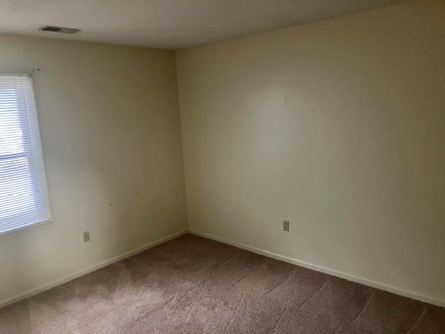 Gallery Photo 3